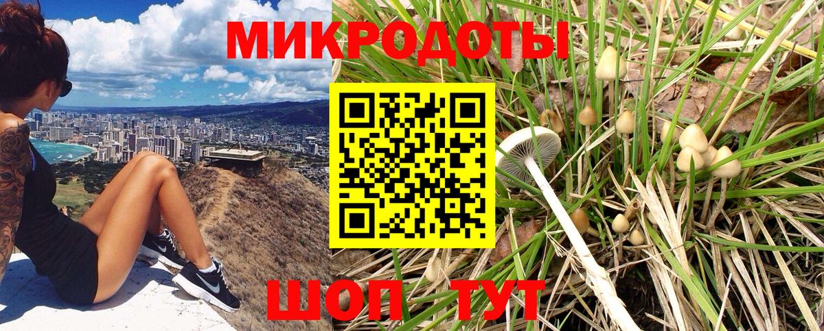Псилоцибиновые грибы Psilocybe  Вход с VPN  как найти закладки  Котельники  Псилоцибиновые грибы MAGIC MUSHROOMS 